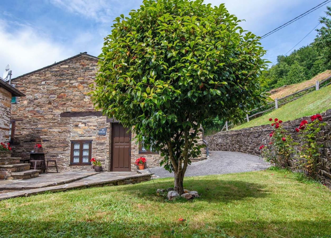 Apartamentos Rurales Casa Riveras Santa Eulalia de Oscos Dış mekan fotoğraf